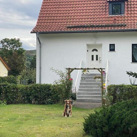 Ferienhaus Am Muehlgraben 塔勒 外观 照片