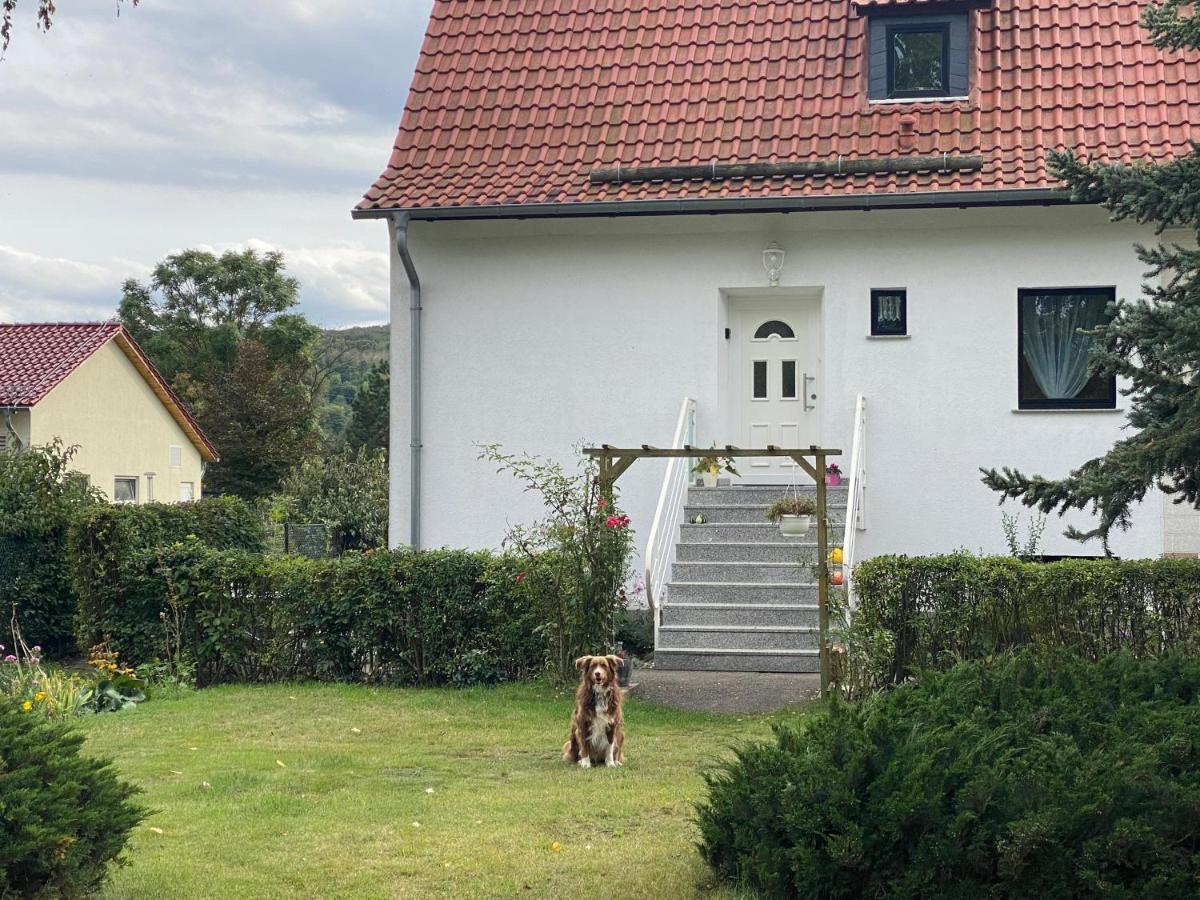 Ferienhaus Am Muehlgraben 塔勒 外观 照片