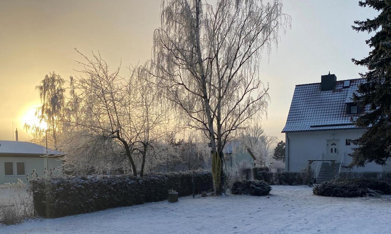 Ferienhaus Am Muehlgraben 塔勒 外观 照片