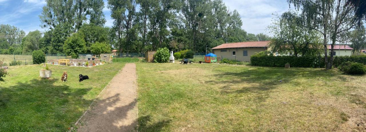 Ferienhaus Am Muehlgraben 塔勒 外观 照片